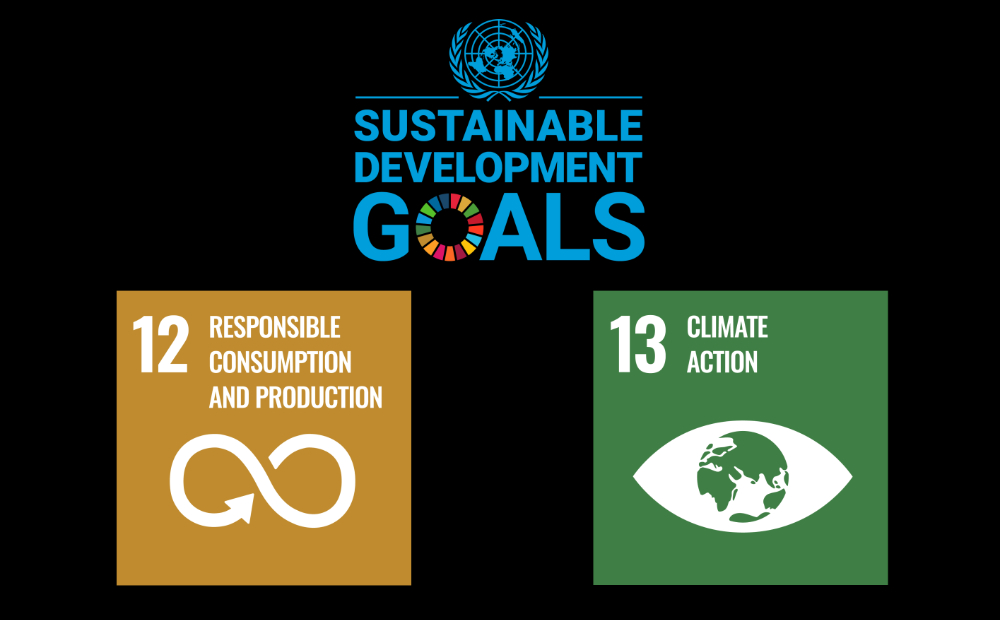Global Changer arbeitet an den Sustainable Development Goals 12 und 13.
