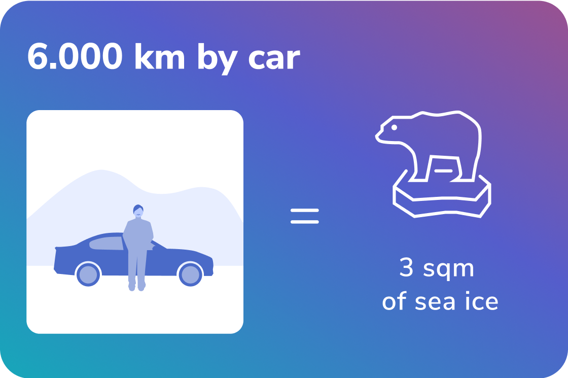 6000 km Fahrtstrecke mit dem Auto schmelzen umgerechnet 2 qm Polareis.
